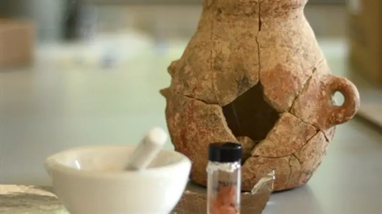 כד מעין ציפורי בעת לקיחת דגימות במעבדה