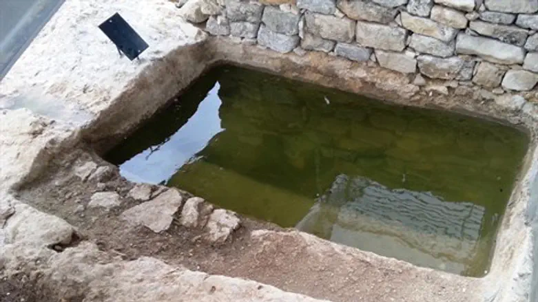 מקווה מים עתיק בשילה הקדומה
