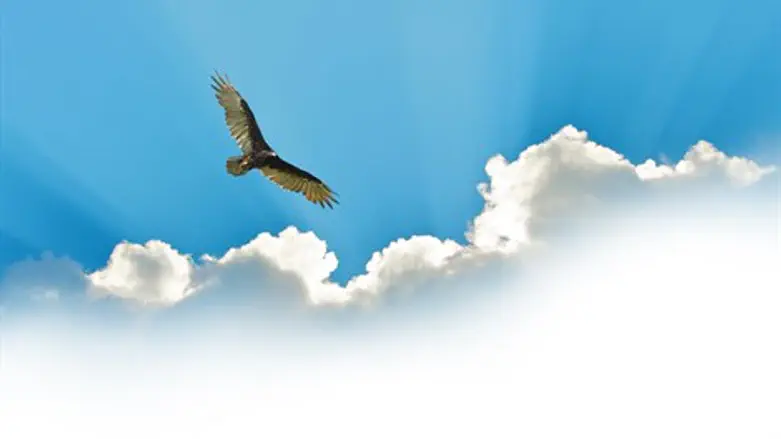 לגוף אין כנפיים, לנפש יש