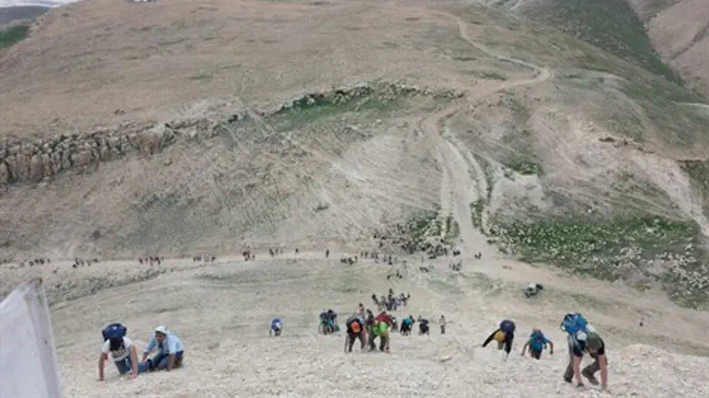 עולים לסרטבה