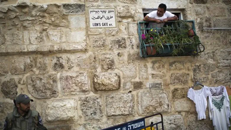 שער האריות (ארכיון)