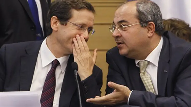 Yitzhak Herzog, Ahmed Tibi