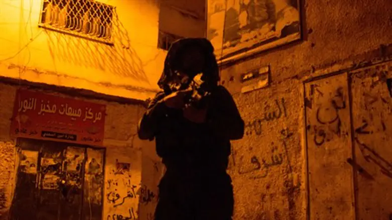 IDF in night operation (file)