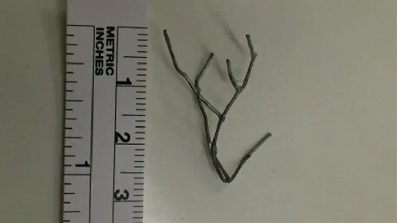 חוט התיל שהוצא