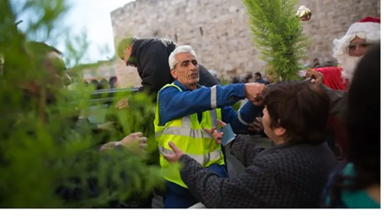 Christmas trees passed out at Old City's Yafo Gtae