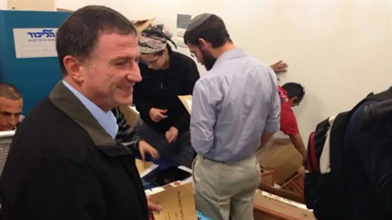 אדלשטיין בקלפי