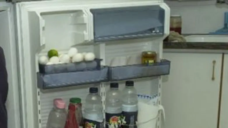 המקרר הזה עדיין לא הופך לתנור חימום