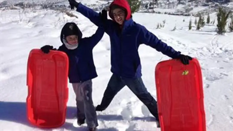 גולשים בשלג