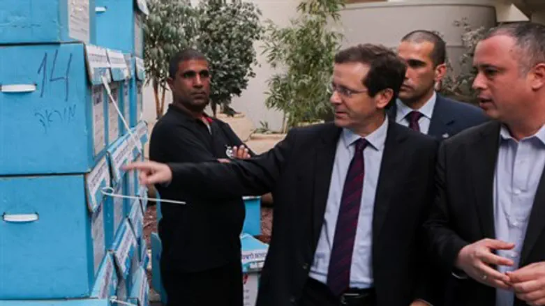 Ицхак Герцог накануне праймериз