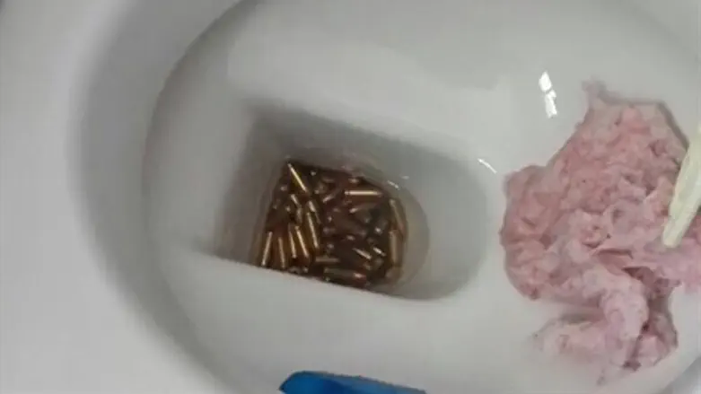 כדורי האקדח באסלה