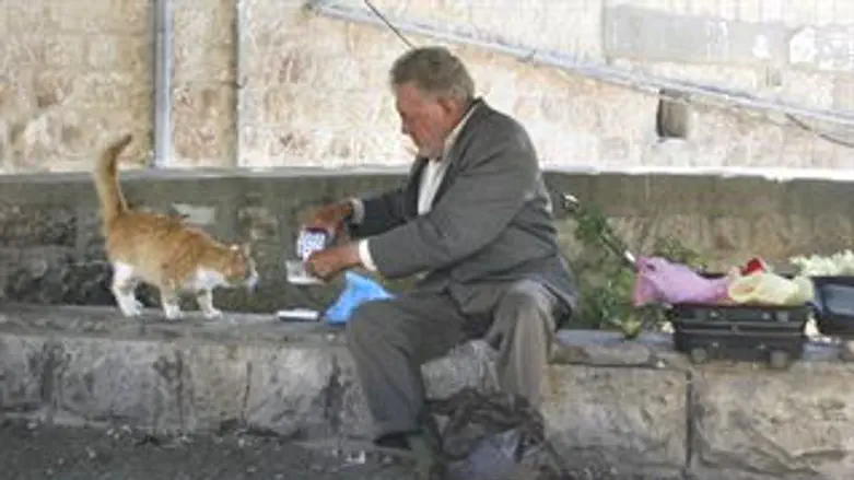 חסר בית. אילוסטרציה