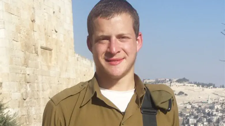 מאיר גינצבורג