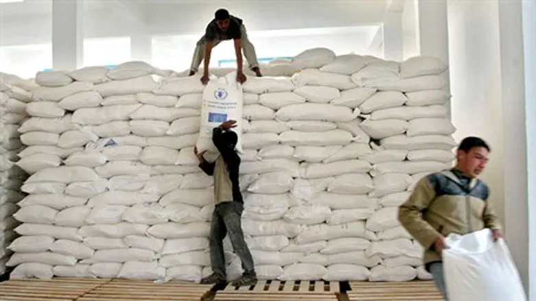 World Food Program aid