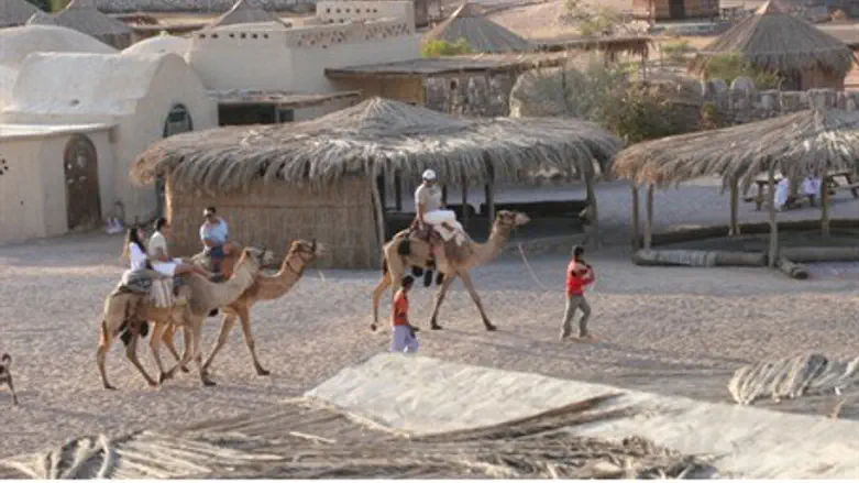 Sinai Peninsula