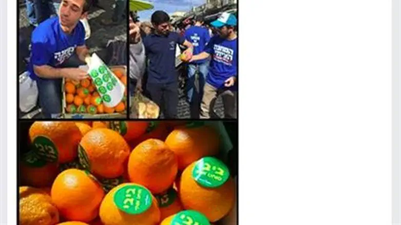 חלוקת הפירות מתועדת בפייסבוק