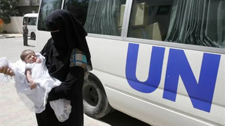 UN wants a 'reborn' Gaza (illustration)