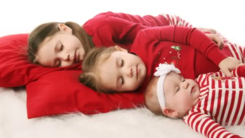 כל משפחה וההרמוניה שלה