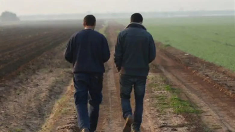 אתה הרבה יותר מחובר לאדמה עצמה