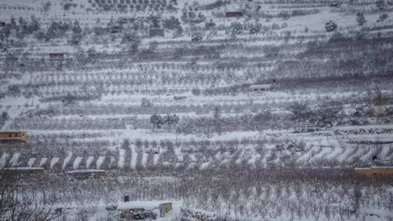 השלג כבר הגיע