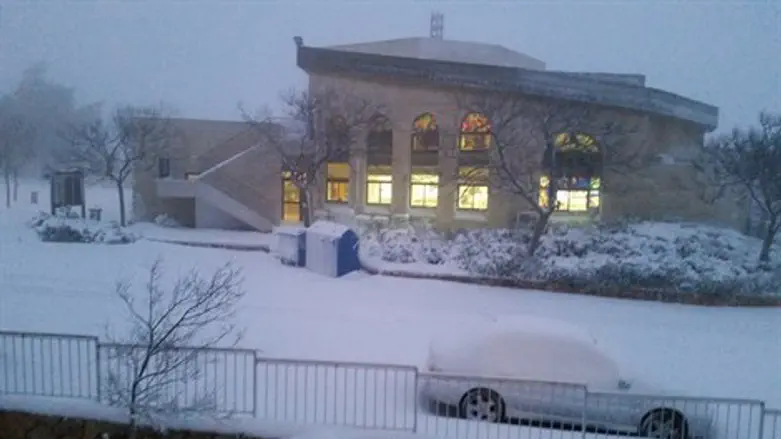 מתעוררים לבוקר לבן