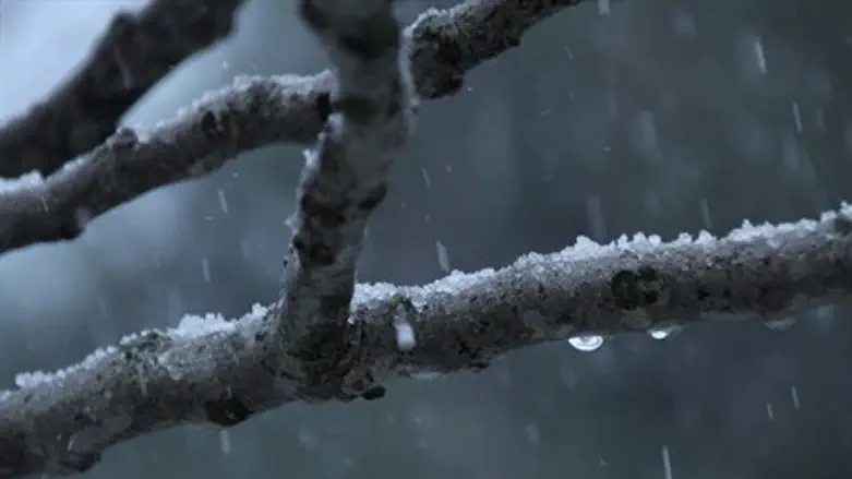 Snow (illustration)