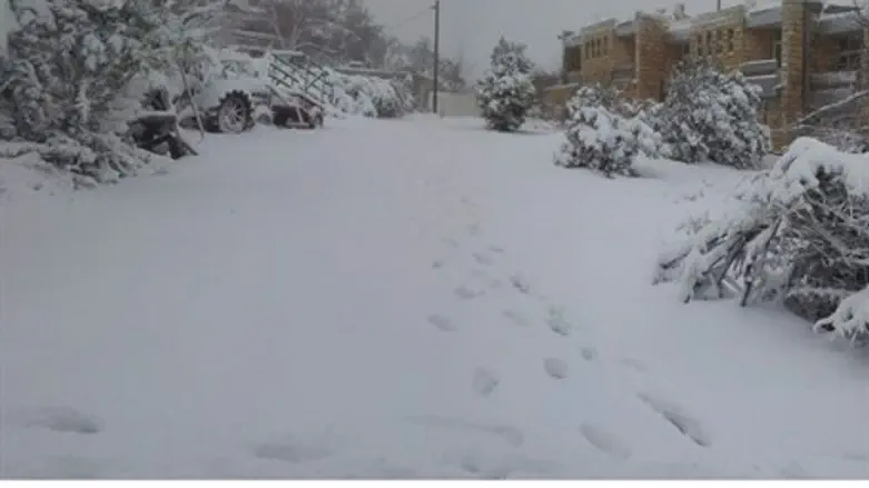 Израиль в снегу. Иллюстрация 