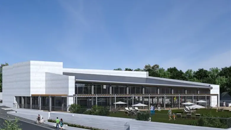 הדמיה לבריכת השחייה בפסגת זאב