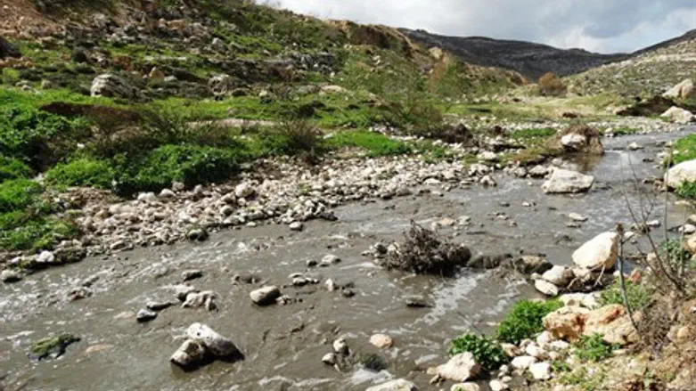 הזיהום בנחל