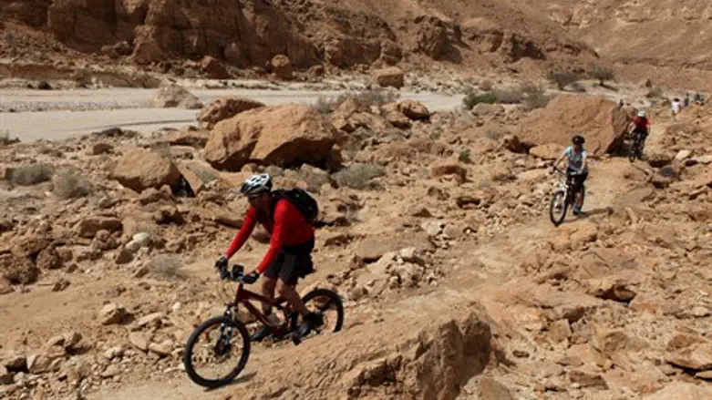 שביל לאופניים