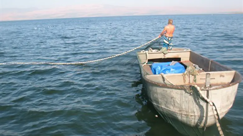 כנרת וטעמים