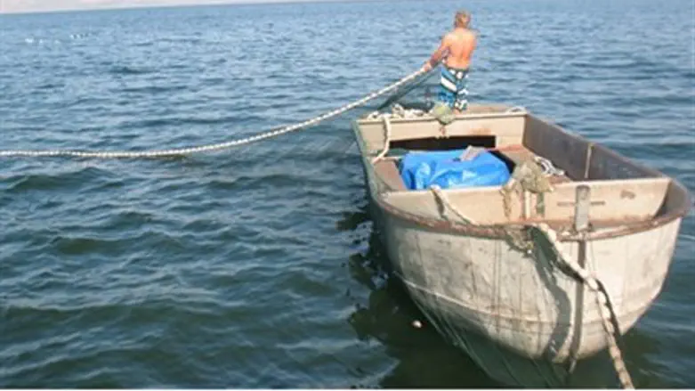 אילוסטרציה