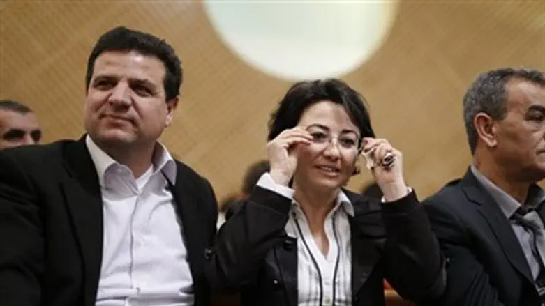 Joint Arab List members