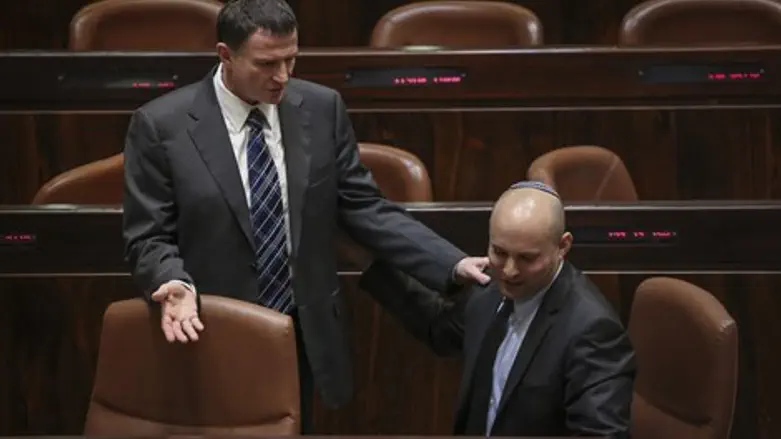 פירגונים במליאה