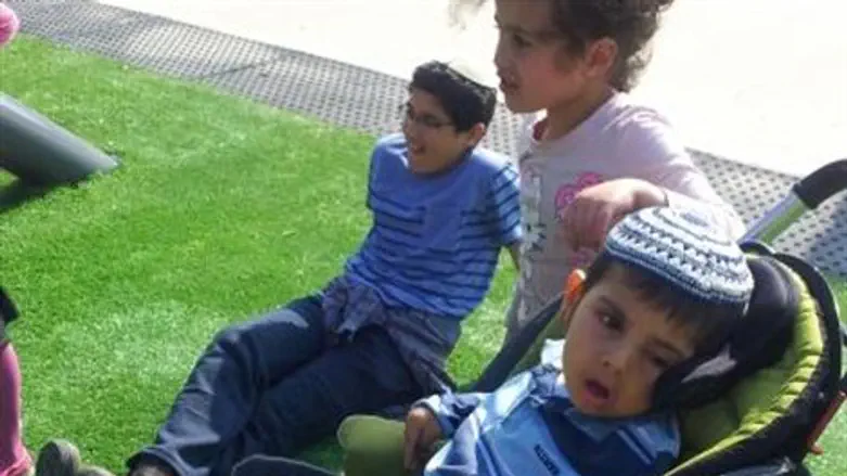 מבלים בפארק