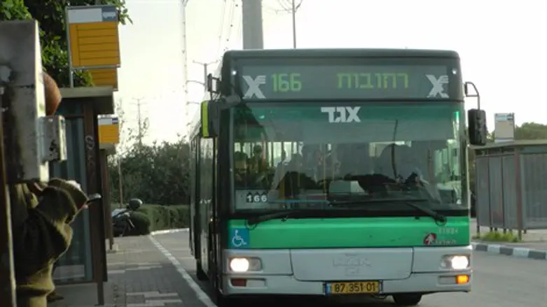 תחבורה ציבורית