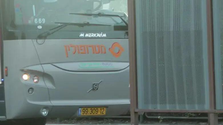 אוטובוס אוטובוסים מטרופולין