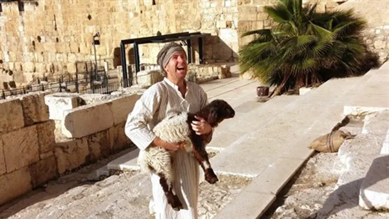 פעילות בדוידסון