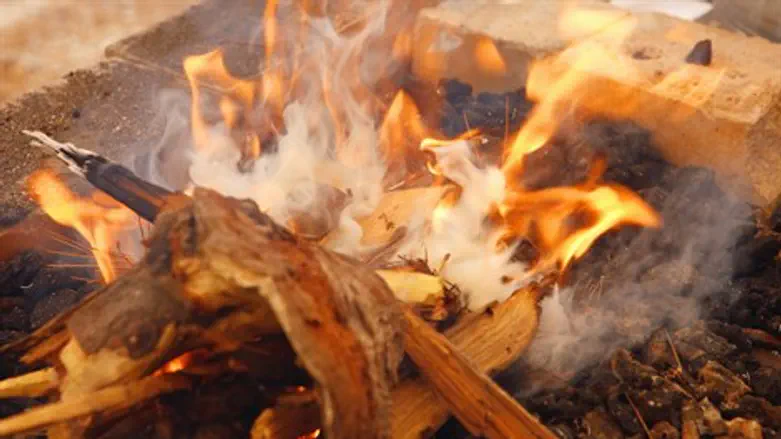כוח מנקה רטרואקטיבית. שרפת חמץ