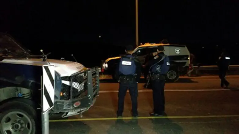 חיפושים נרחבים