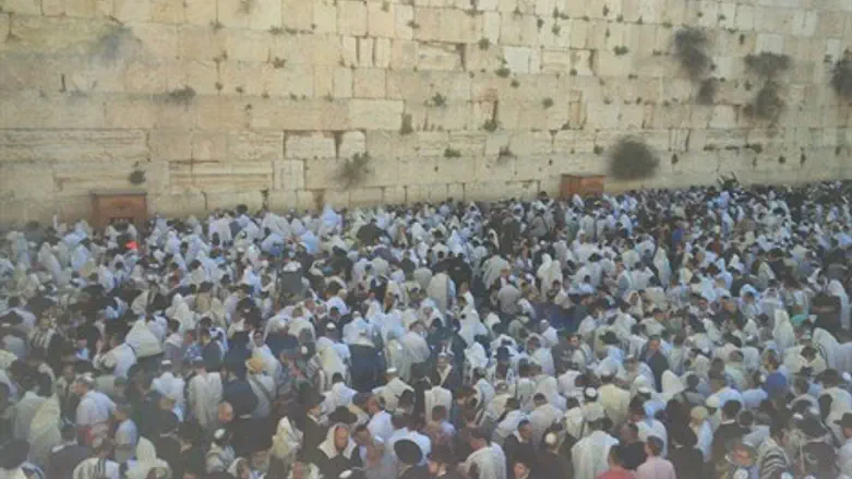 הכותל הבוקר