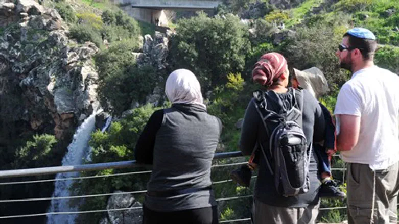 למצולמים אין קשר לידיעה