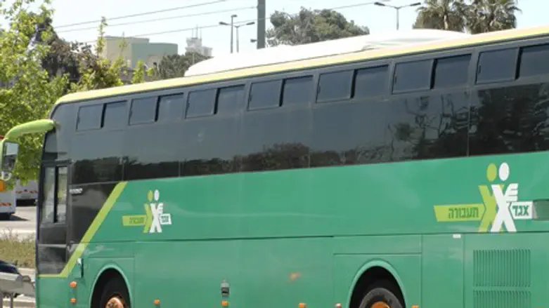 אוטובוס אגד תעבורה