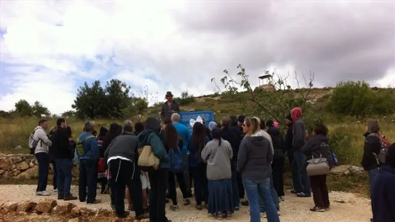 הדרכה חינם בקסטל