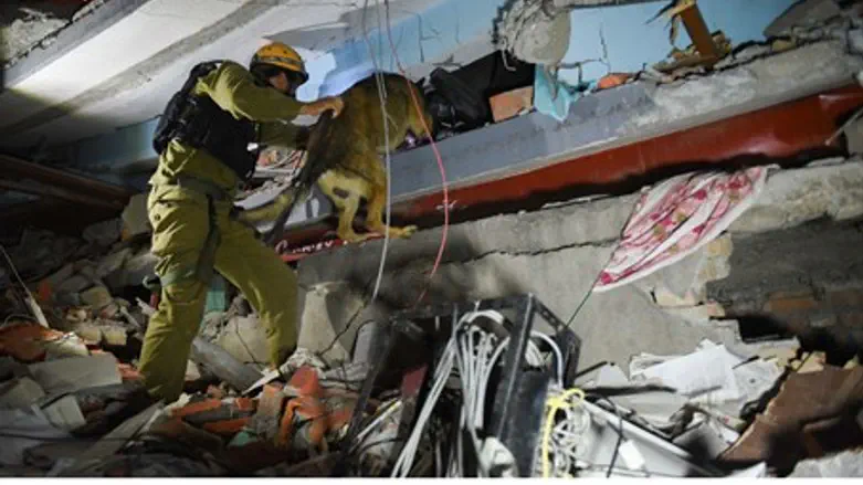 Землетрясение в Непале