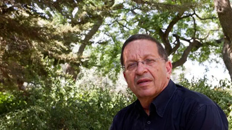 חיים זיסוביץ