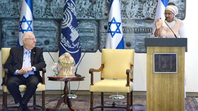 בית הנשיא, היום