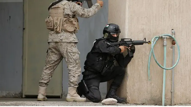 Western, Muslim armies take part in Eager Lion military drill (2014)