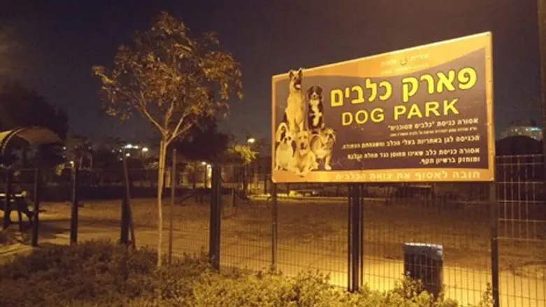 לפארק דווקא יש מקום