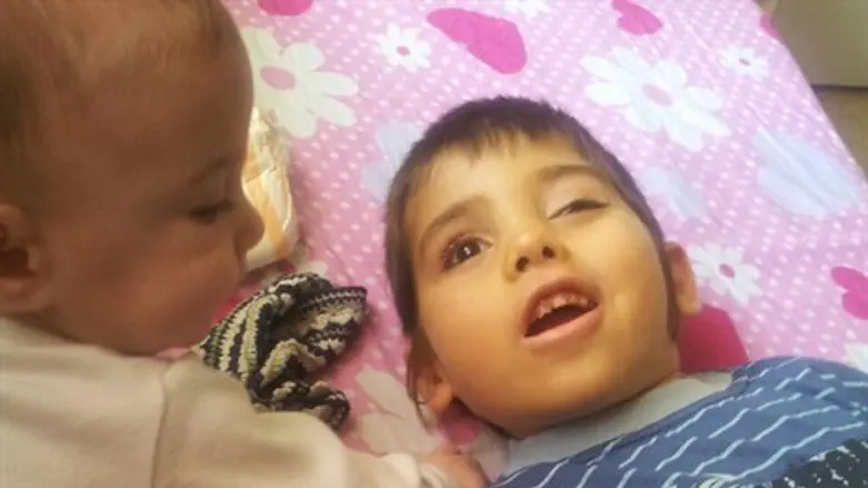 שנה של שיתוף