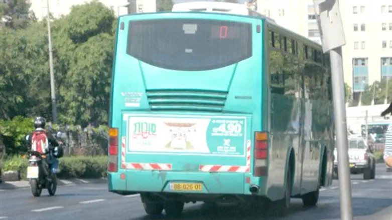 למה לא להרגיע את ההורים?